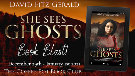 She Sees Ghosts - The Story of a Woman Who Rescues Lost Souls (Part of the Adirondack Spirit Series) By David Fitz-Gerald
