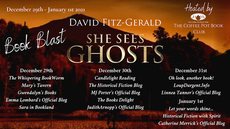 She Sees Ghosts - The Story of a Woman Who Rescues Lost Souls (Part of the Adirondack Spirit Series) By David Fitz-Gerald