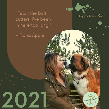 Happy New Year: End of the year message of hope for 2021 from Paws For Reaction