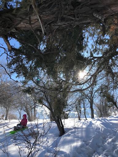 Snow Play Day