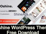 Oshine WordPress Theme v6.9.7 Free Download