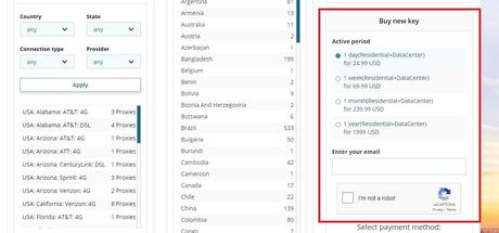 DSL Rentals Review DSL Rental Panel page