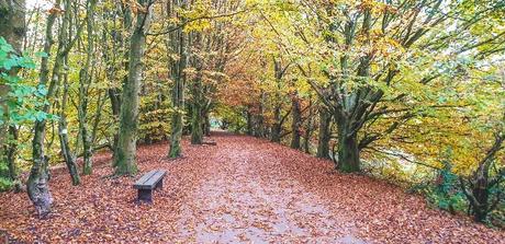 Our Best Moments of 2020 Our Best Moments of 2020