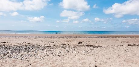 Our Best Moments of 2020 Our Best Moments of 2020