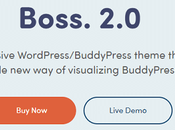 Best BuddyBoss Themes WordPress 2021 Create Online Community