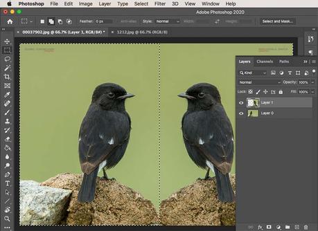 layer cropping Photoshop