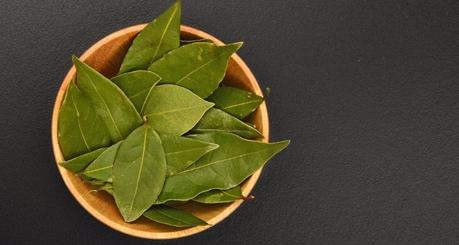 Bay Leaf (Laurus Nobilis): 13 Science-Based Health Benefits