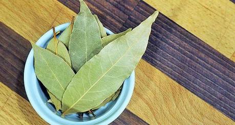 Bay Leaf (Laurus Nobilis): 13 Science-Based Health Benefits