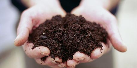10 Easy Soil Tests - How to Test Your Garden Soil