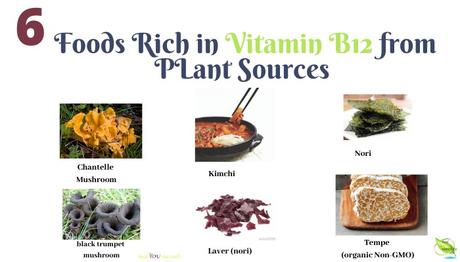 6 Little Known Vitamin B12 Rich Foods from Plant Sources