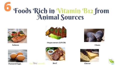 6 Foods Rich in Vitamin B12 from Animal Sources