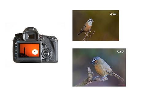 camera aspect ratio vs image aspect ratio