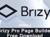 Brizy Page Builder Free Download [v2.2.0]