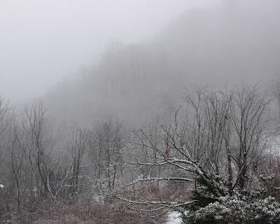 A Quiet Moment