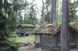 Three Tanka on Impermanence