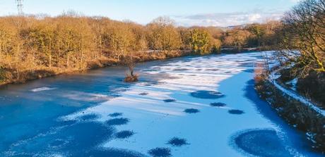 2021 Project 365 Week 1 – And So It All Begins Again 2021 Project 365 Week 1 – And So It All Begins Again