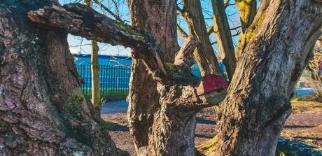 2021 Project 365 Week 1 – And So It All Begins Again 2021 Project 365 Week 1 – And So It All Begins Again