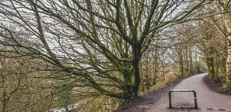 2021 Project 365 Week 1 – And So It All Begins Again 2021 Project 365 Week 1 – And So It All Begins Again