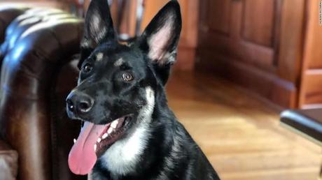 Major Biden: Future first dog to get virtual ‘indoguration’