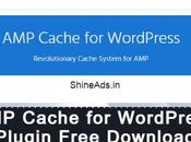 [GPL] Cache WordPress Plugin Free Download
