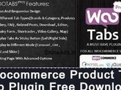 Woocommerce Product Plugin v3.4 Free Download
