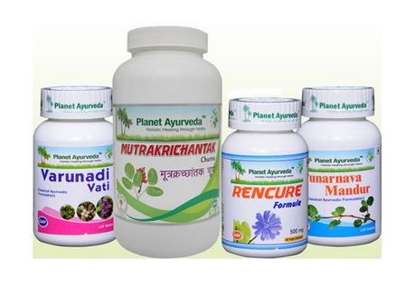 Ayurvedic Treatment of Kidney Disorders – Avoid Dialysis