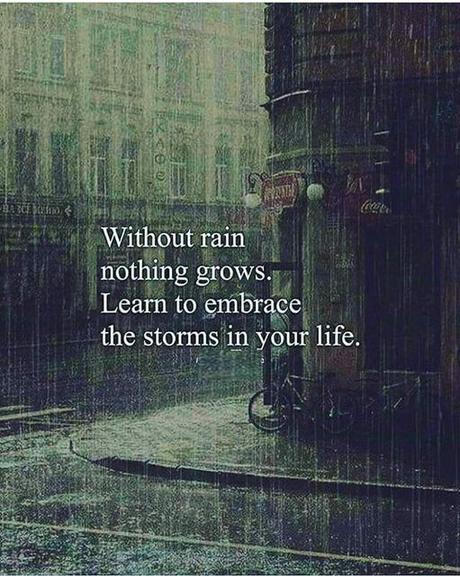 Image may contain: text that says 'Without rain nothing grows. Learn to embrace the storms in your life.'