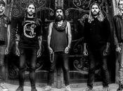 Premier Single Feral Swarm"