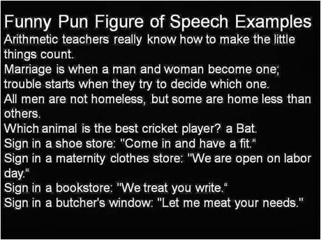 pun figure of speech with examples