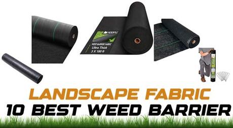 Best Landscape Fabric for Blocking Out Weeds