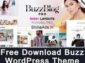 [GPL] Free Download Buzz WordPress Theme v4.9.7