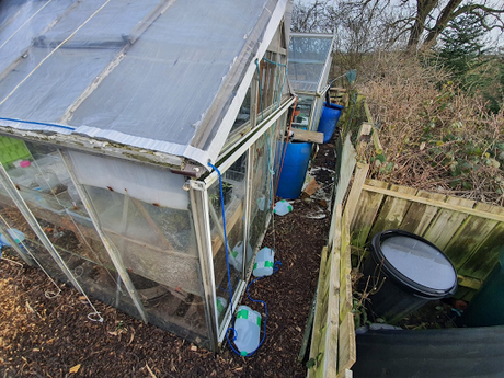 Day 38 - We have a cunning plan for the greenhouse roof.