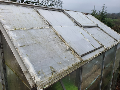 Day 38 - We have a cunning plan for the greenhouse roof.