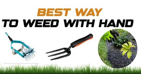 Best Ways to weed with Hand