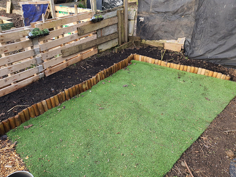 Our first signs of spring down the allotment