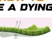 Rescue Dying Lawn