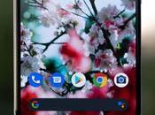 Android Could Hibernation Feature (Updated: More Details)