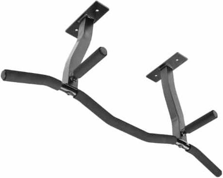 7 Best Wall-Mounted Pull Up Bars
