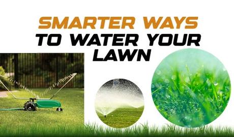 Smarter Ways to Water Your Lawn