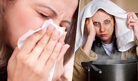 Home Remedies for Nasal Blockage Home Remedies for Nasal Blockage