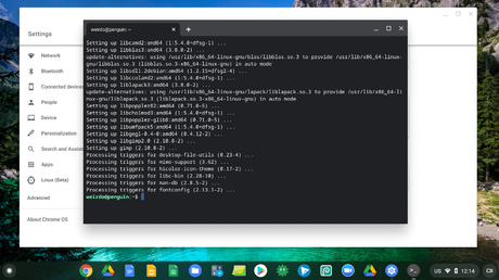 how to open linux terminal on chromebook