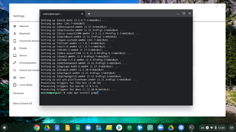 how to use linux on chromebook
