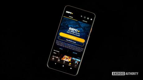 Save over 30% on one year ESPN Plus and the PPV fight