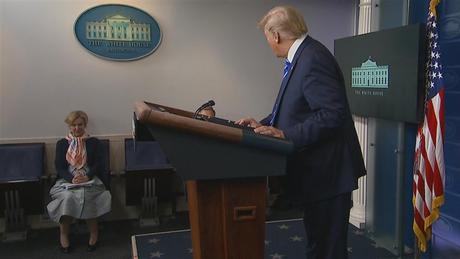 Dr. Deborah Birx, Trump’s Covid-19 coordinator, said she considered quitting