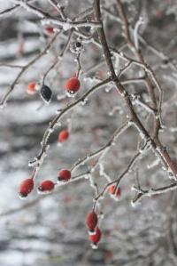 POEM: The Ekstasis of a Warm Bed [in a Cold, Snowy Land]