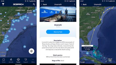 10 fun, niche, weird apps for Android you might never use