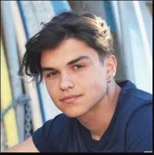 Harvey Petito Net Worth, Bio, Height, Family, Age, Weight, Wiki