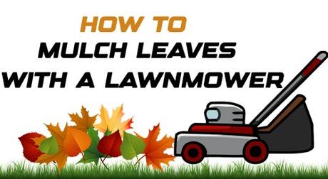 How to Mulch Leaves With a Lawnmower?