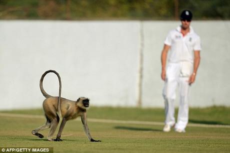 Lanka loses 2nd Test too at Galle ... what caused interruption on day 3 ??