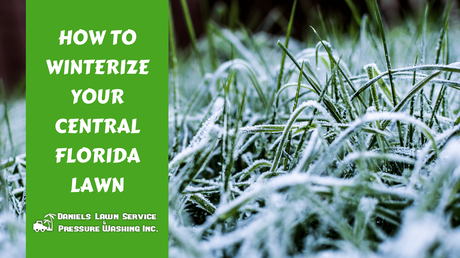 How to Winterize Your Central Florida Lawn How to Winterize Your Central Florida Lawn